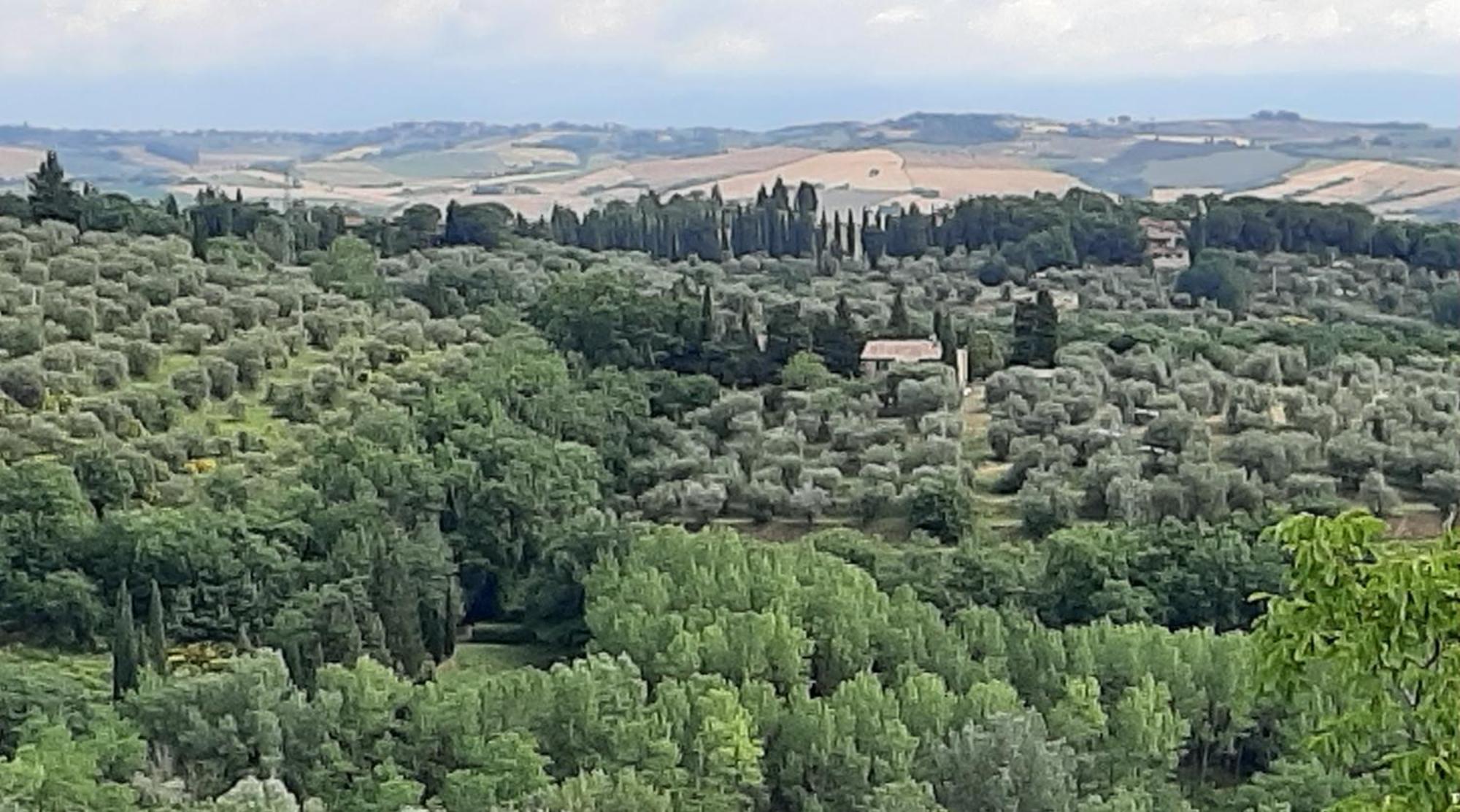 Montebello Degli Olivi Chiusi Exteriör bild